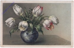 Tulpen