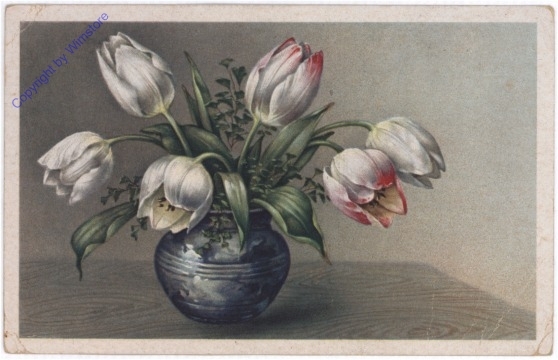 Tulpen