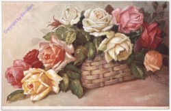 Sommerblumen