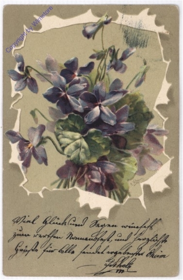Veilchen