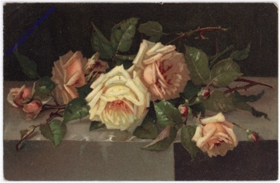 Rosen
