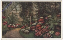 ak198794 Azaleen-Ausstellung, Palmenhaus, Schönbrunn