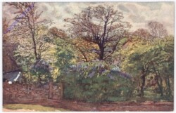 Gartenansicht