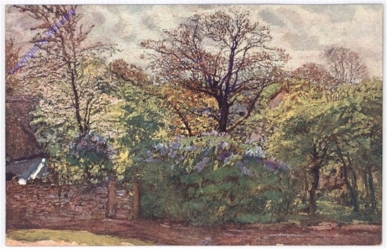 Gartenansicht