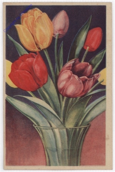 Tulpen in Vase