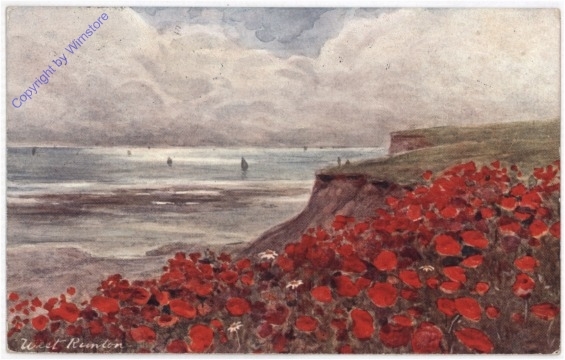 Wilder Mohn