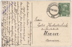 Krokusse