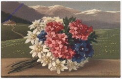 ak198820 Alpenblumen