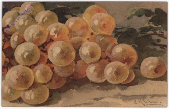 Weintrauben