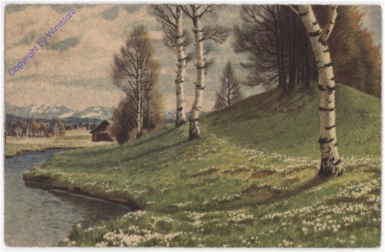 ak198846 Birken am Ufer