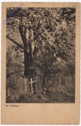 ak198847 Im Frühling