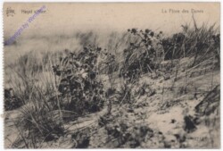 ak198964 Heyst s/Mer, La Flore des Dunes