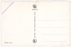 Temse, Kerk