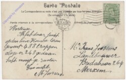 Antwerpen, La Cathedrale houteur