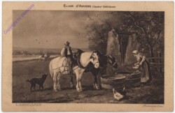 Antwerpen, Elixir d'Anvers, Liqueur Delicieuse