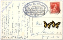 Brüssel, Manneken-Pis