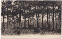 ak199441 Arcachon, Les Dunes