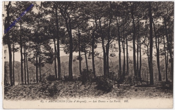 Arcachon, Les Dunes
