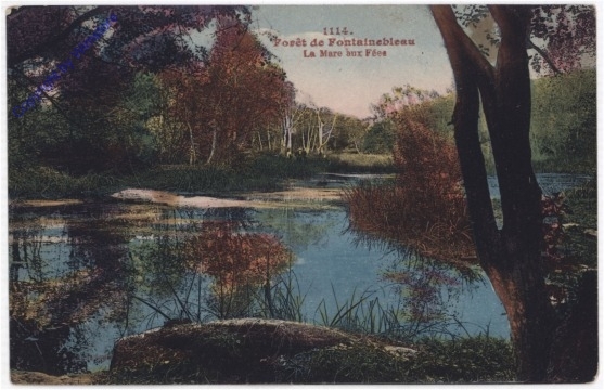 Fontainebleau, Foret
