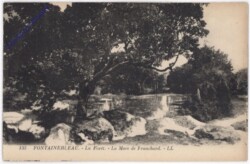 Fontainebleau, La Foret