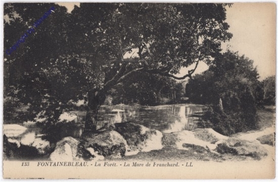 Fontainebleau, La Foret