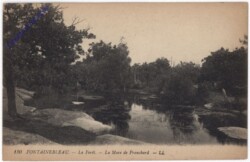 ak199634 Fontainebleau, La Foret