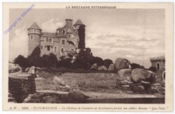 ak199739 Ploumanach, Le Chateau