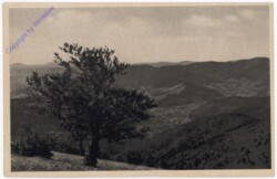 Vogesenburgen, Blick vom Markstein