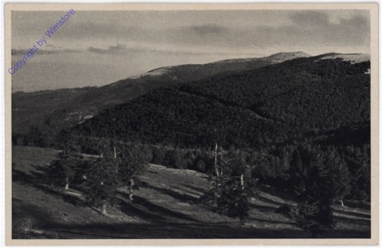 Vogesenburgen, Am Markstein