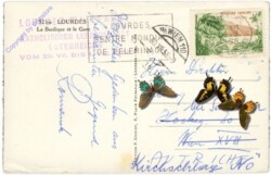 Lourdes, La Basilique