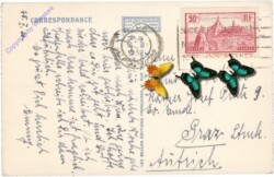 Nizza (Nice), L'Entree du Port