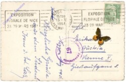 Nizza (Nice), Aussicht