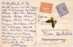 Nizza (Nice), Jardins Albert 1st