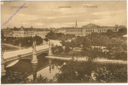 Strassburg, Universität