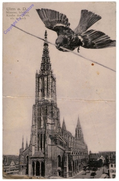 Ulm, Münster