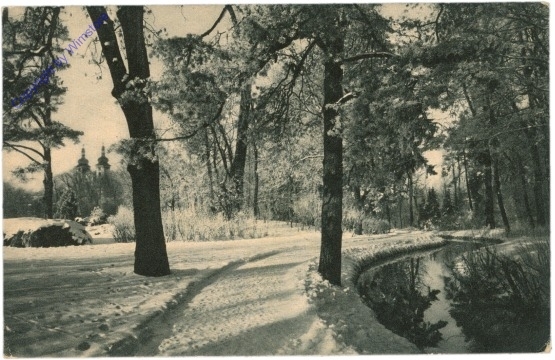 Donauschingen, Partie im fürstl. Fürstenb. Park