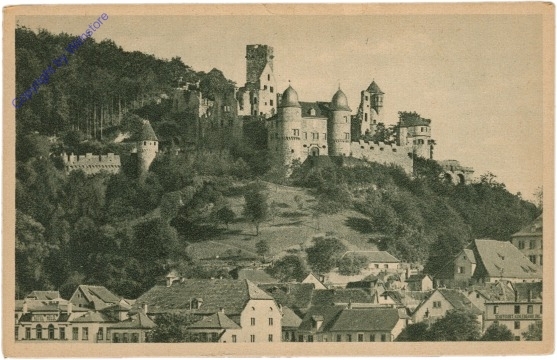 Wertheim a. Main, Schloßruine