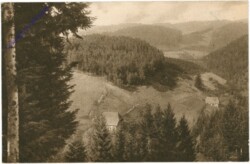 Nussbacher Tal, Blick ins