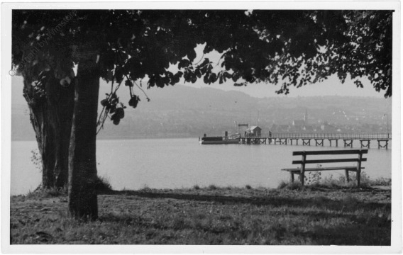 ak200528 Horn am Untersee, Ansicht