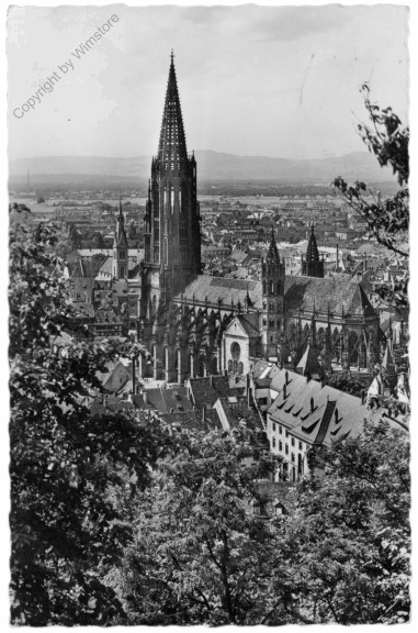 Freiburg, Münster