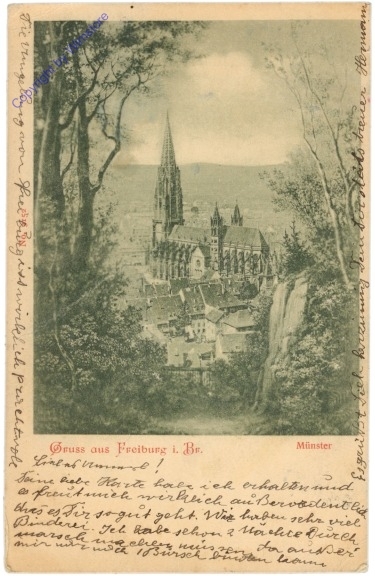 Freiburg i. Br., Münster