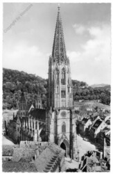 Freiburg i. Br., Münster