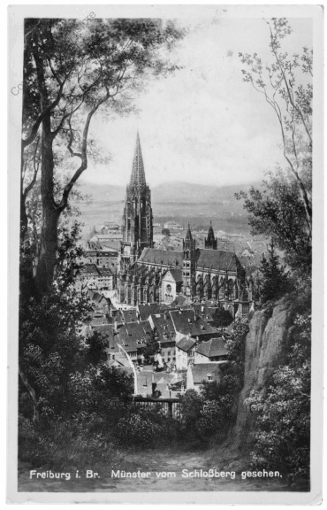 Freiburg i. Br., Münster vom Schloßberg gesehen