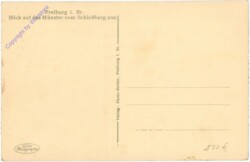 Freiburg i. Br., Blick auf das Münster vom Schloßberg aus