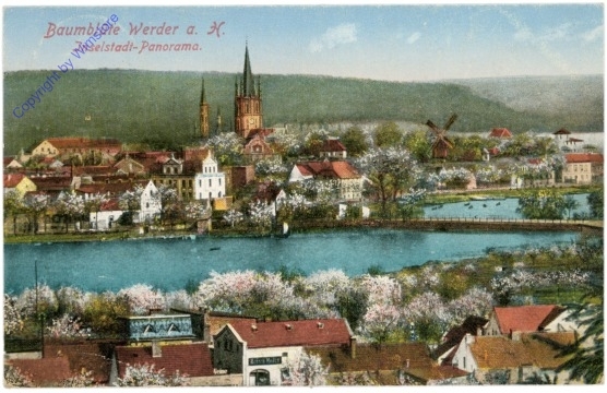 Werder a. H., Baumblüte, Inselstadt-Panorama