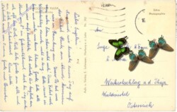 Fulda, Michaelskirche