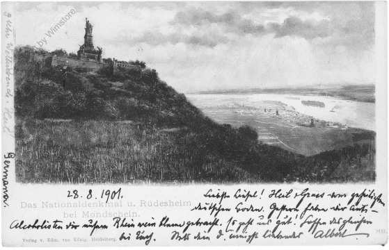Rüdesheim, Nationaldenkmal bei Mondschein