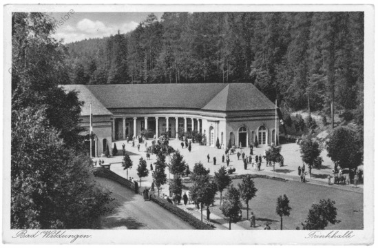 Bad Wildungen, Trinkhalle