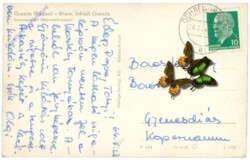 Granitz, Insel Rügen, Innenansicht Schloß