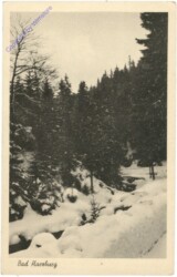 Bad Harzburg, Ansicht